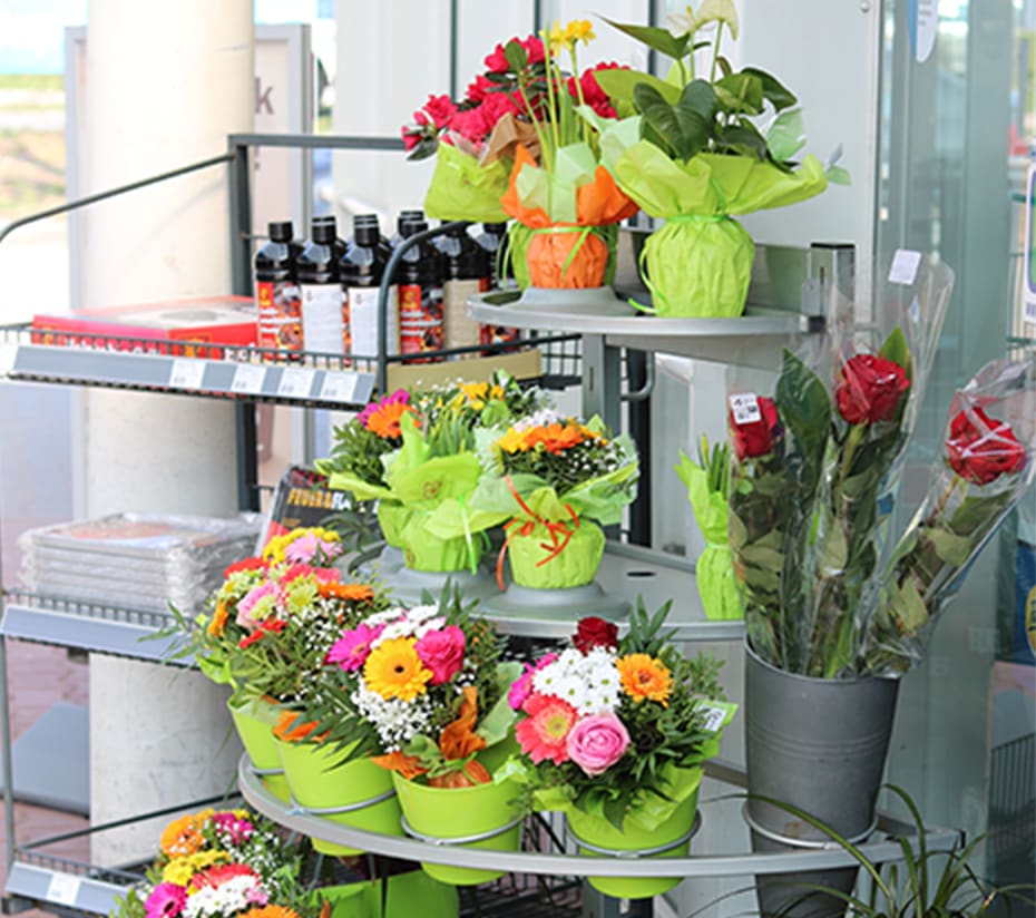 Blumen-Display im Verkaufsbereich