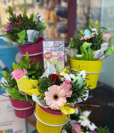 Frische Blumen für den täglichen Verkauf