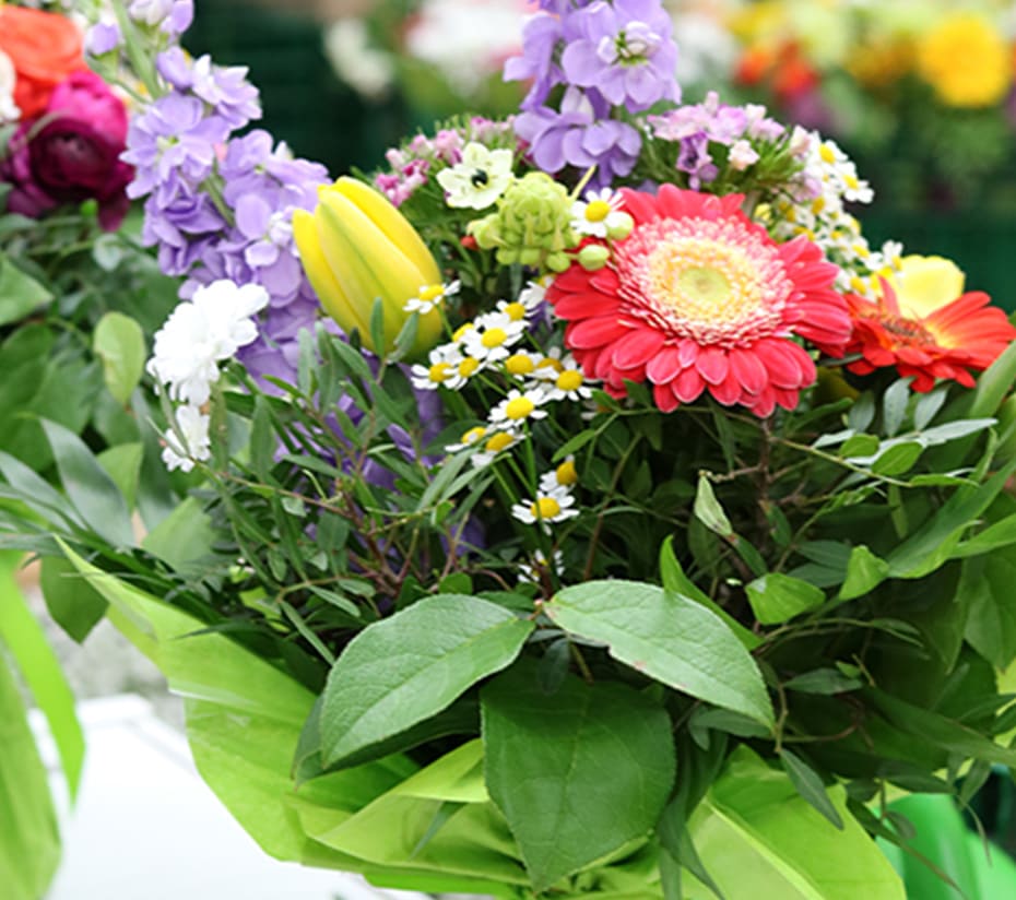 Blumenangebot für Tankstellen und Einzelhandel